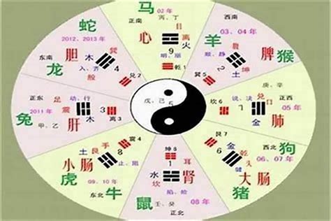 珵 五行|琤字的五行属性